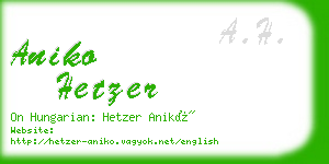 aniko hetzer business card
